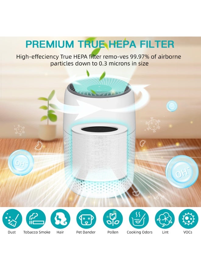 LODROC 2 Pack Replacement Filters for LEVOIT Core Mini Air Purifier, 3-in-1 HEPA High-Efficiency Activated Carbon, Replace Part Core Mini-RF, White - Image 3